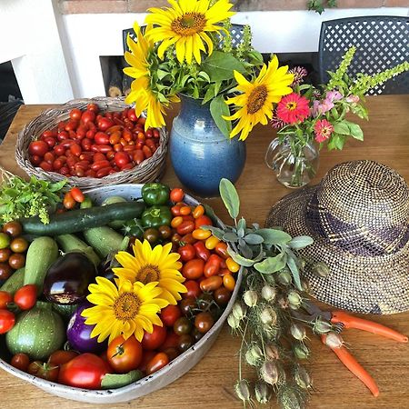 Agriturismo Podere Prasiano Marano sul Panaro Eksteriør billede