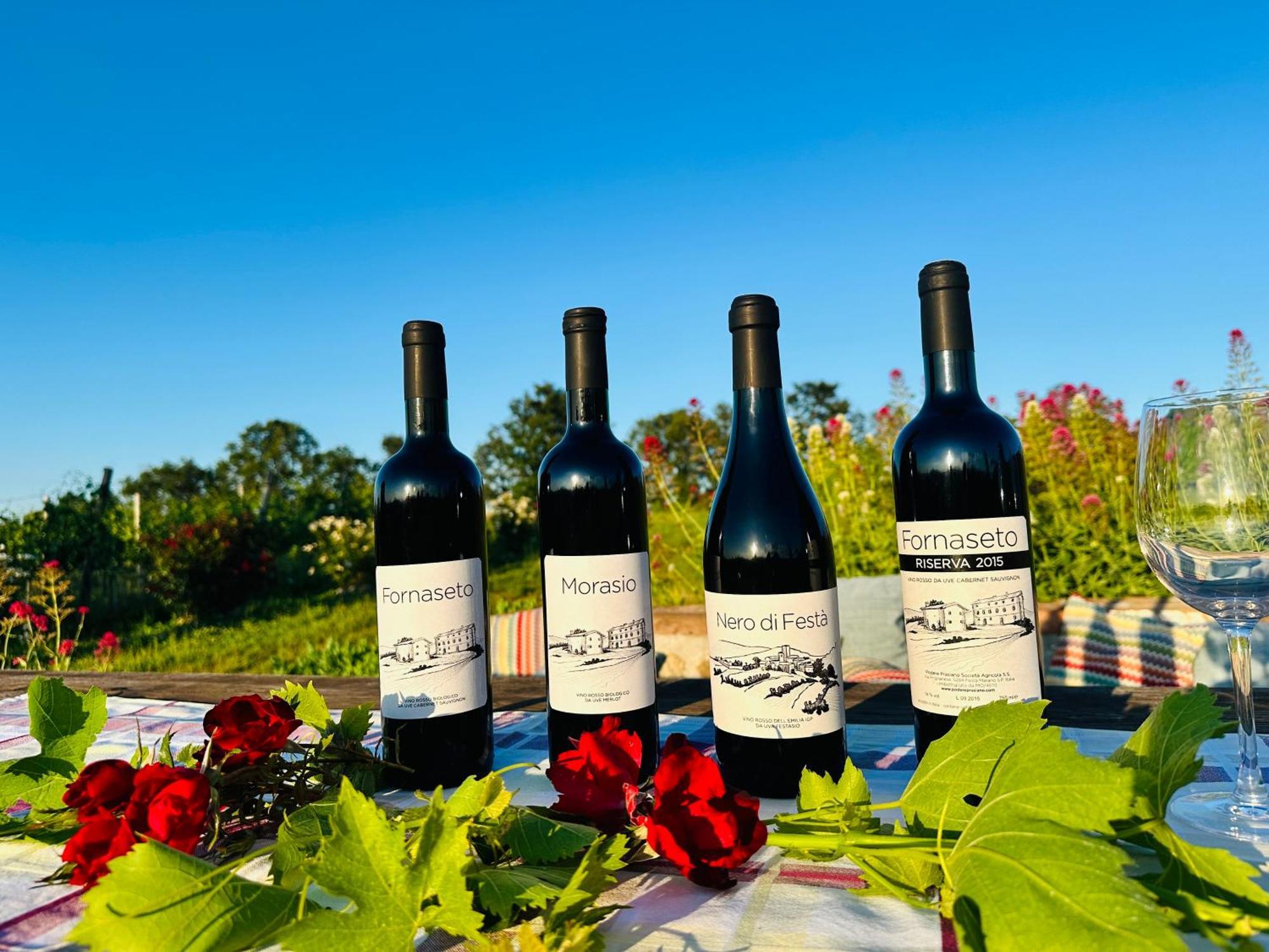 Agriturismo Podere Prasiano Marano sul Panaro Eksteriør billede