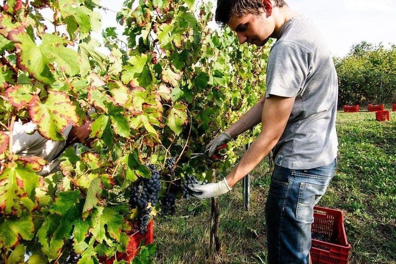 Agriturismo Podere Prasiano Marano sul Panaro Eksteriør billede