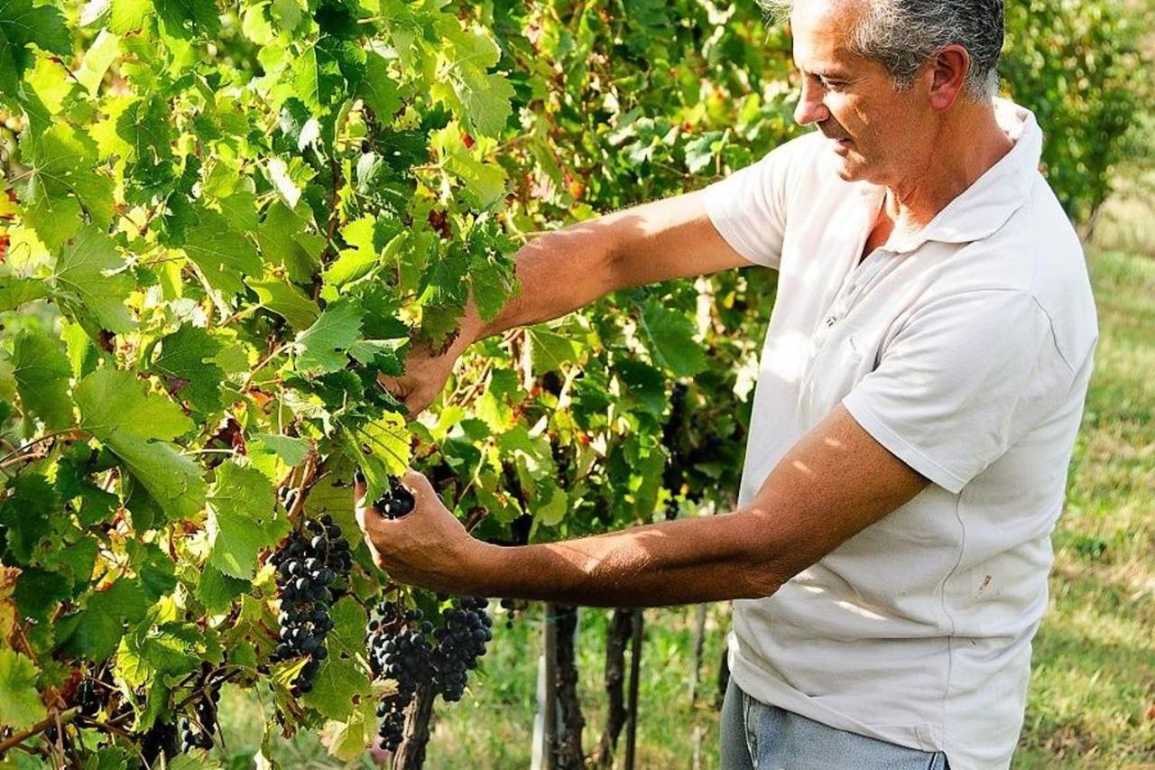 Agriturismo Podere Prasiano Marano sul Panaro Eksteriør billede